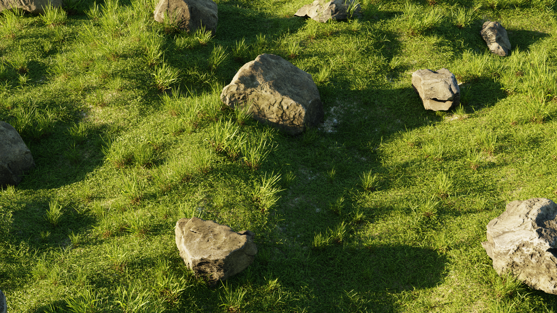 Proceduraly placed rocks and tufts of grass